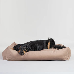 Conscious Bed for Pets