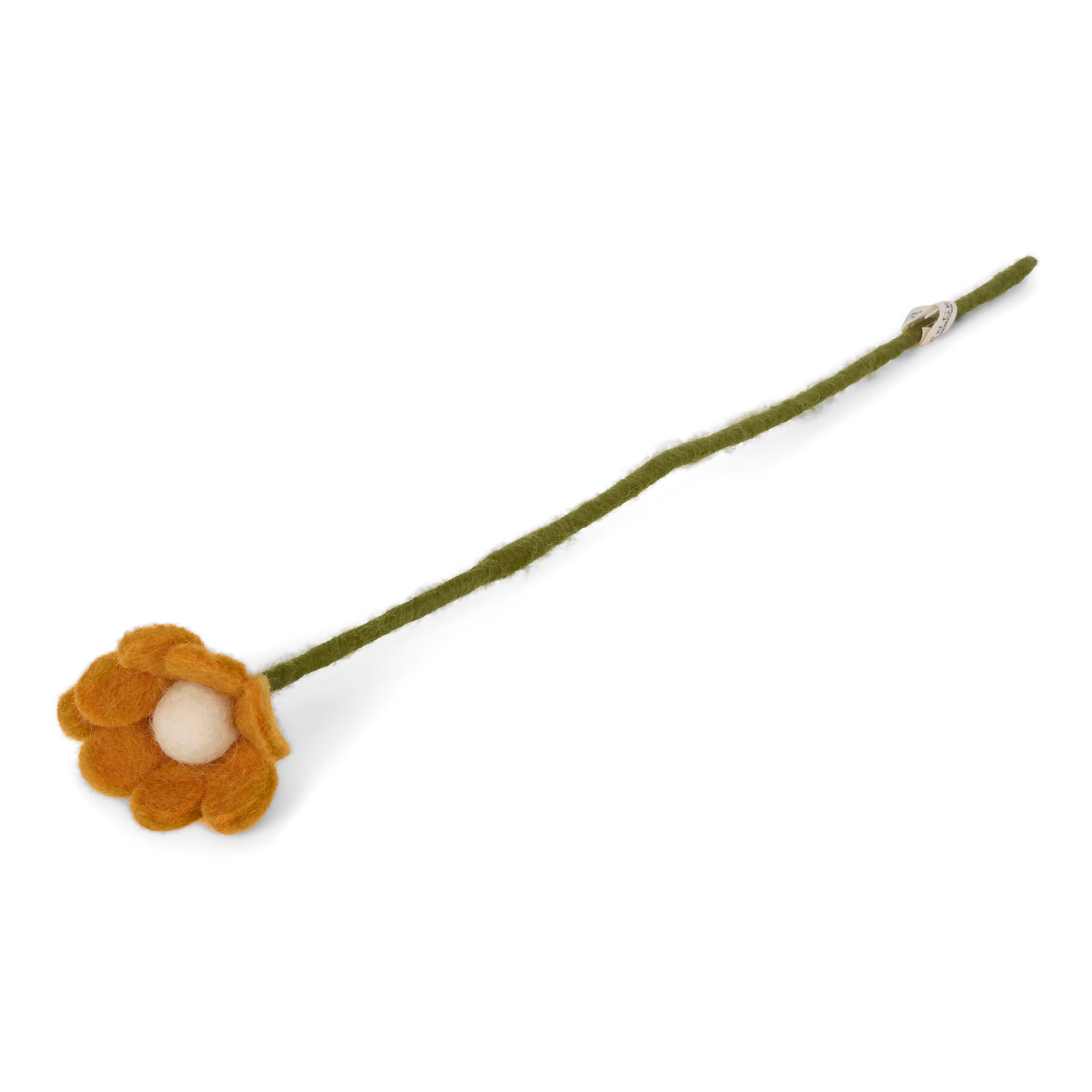 Wool Anemone Flower