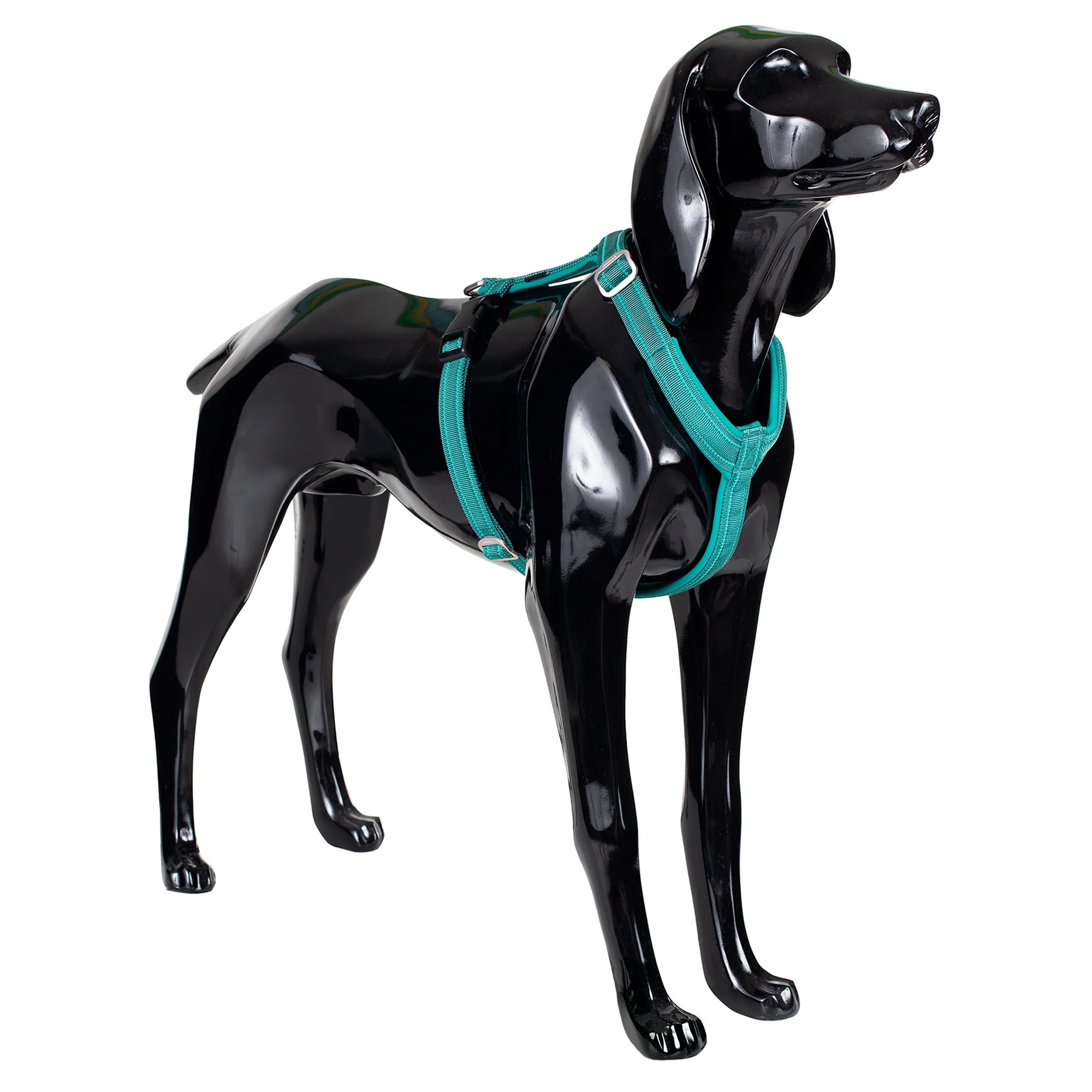 Easy Harness for Dogs