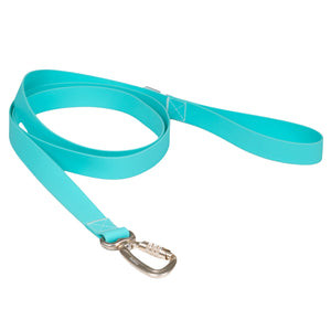 Glow Leash for Dogs