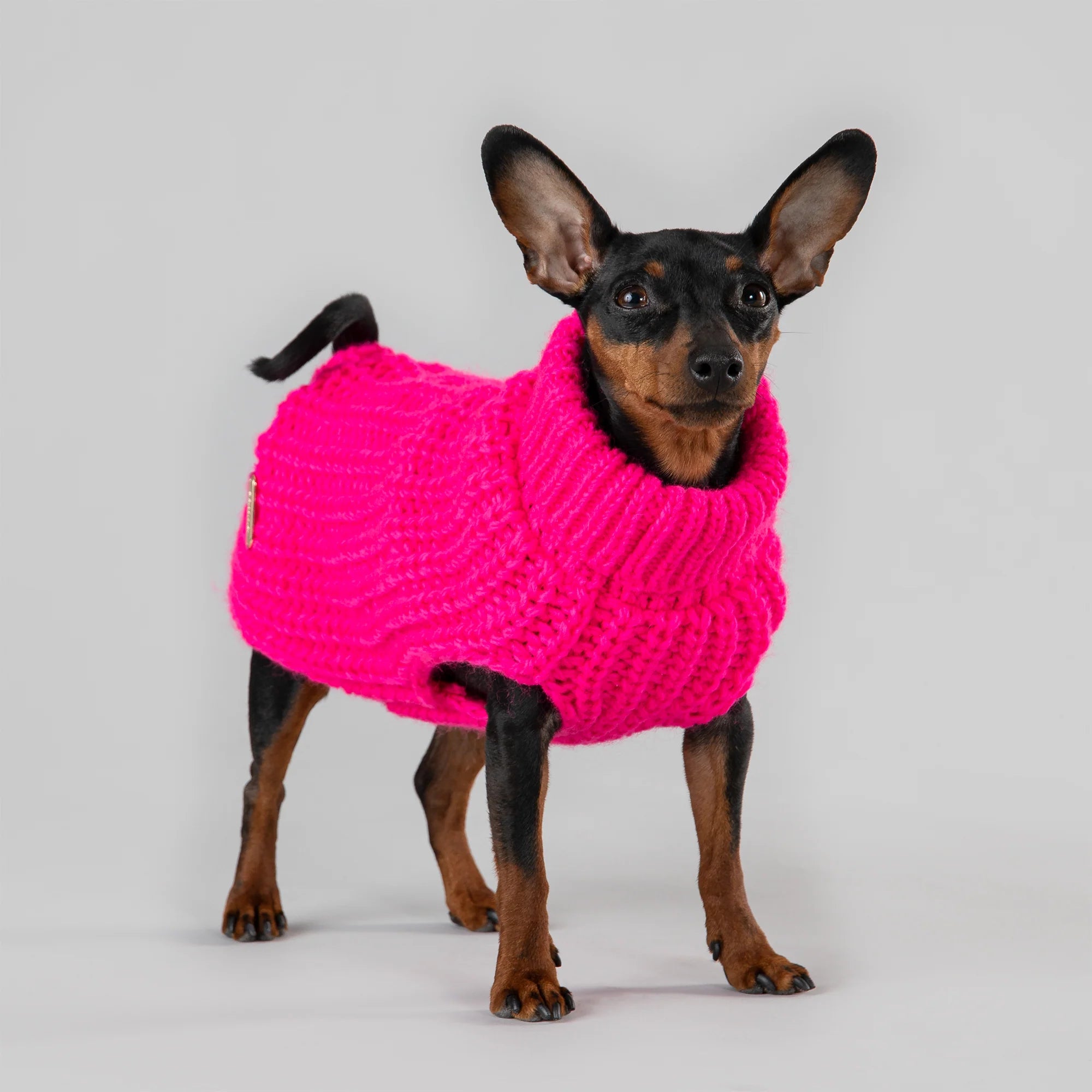 Knit Sweater for Dogs