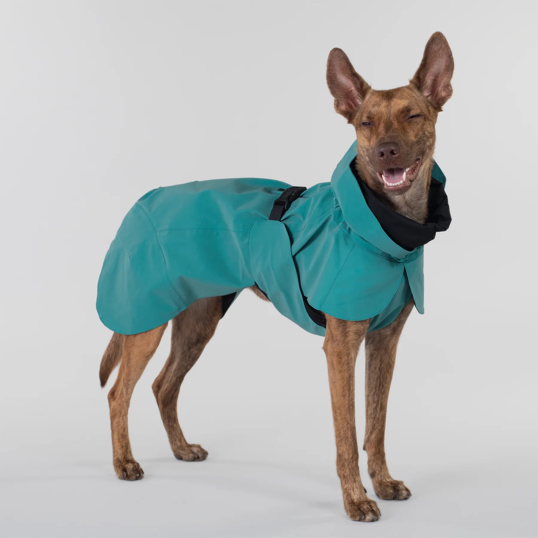 Visibility Raincoat for Dogs
