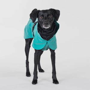 Visibility Raincoat for Dogs