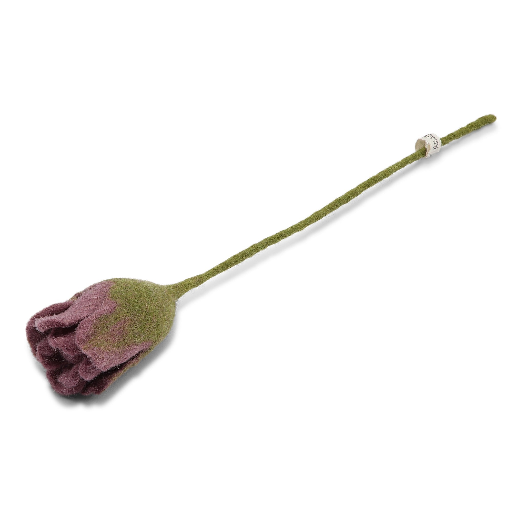 Wool Tulip