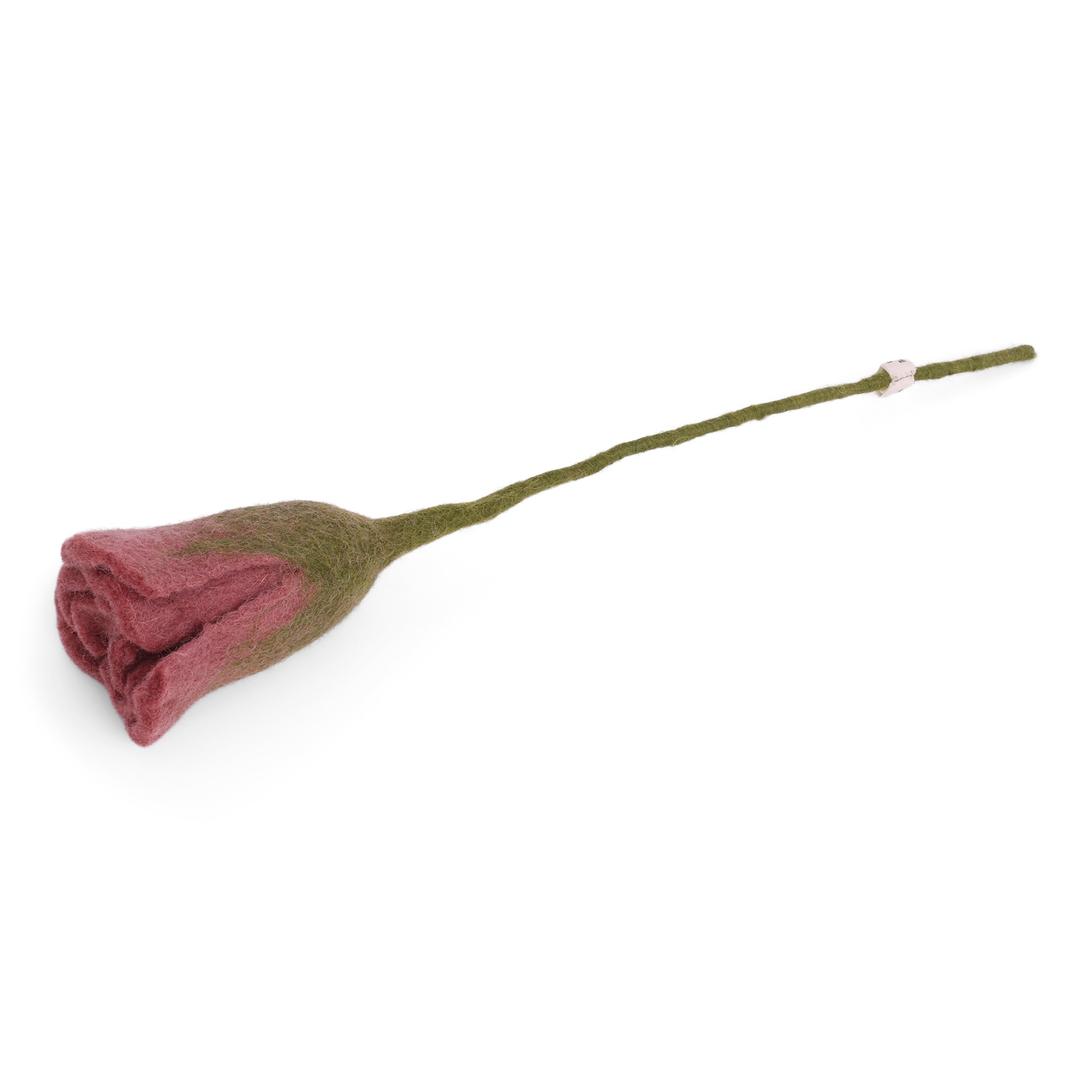 Wool Tulip