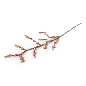 Branch with Berries