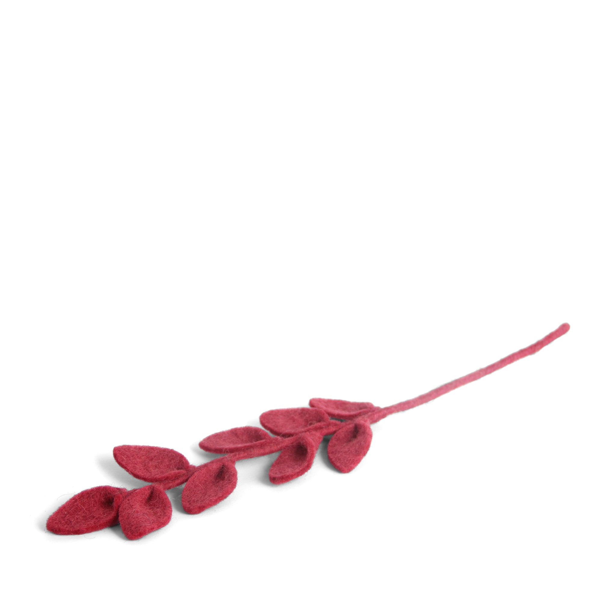 Wool Leaf Branch
