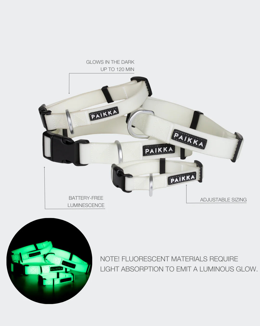 Glow Collar for Dogs