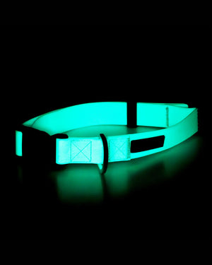 Glow Collar for Dogs