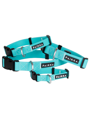 Glow Collar for Dogs