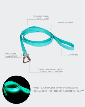 Glow Leash for Dogs