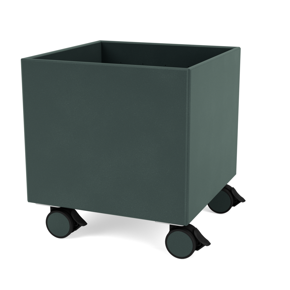 Color Box I with Castors