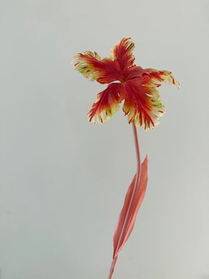 Tulip Bell Stems