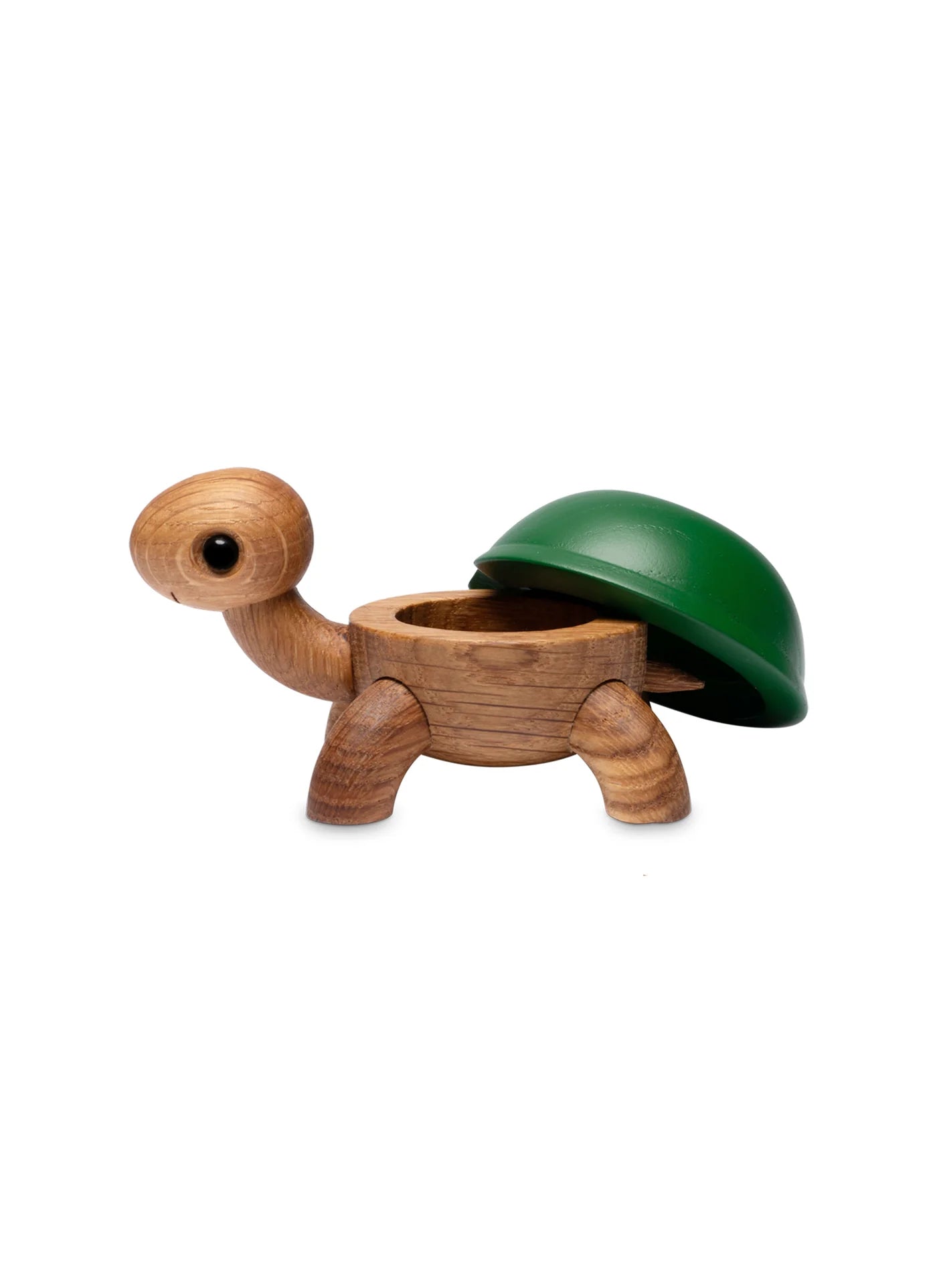 Wooden Turtle