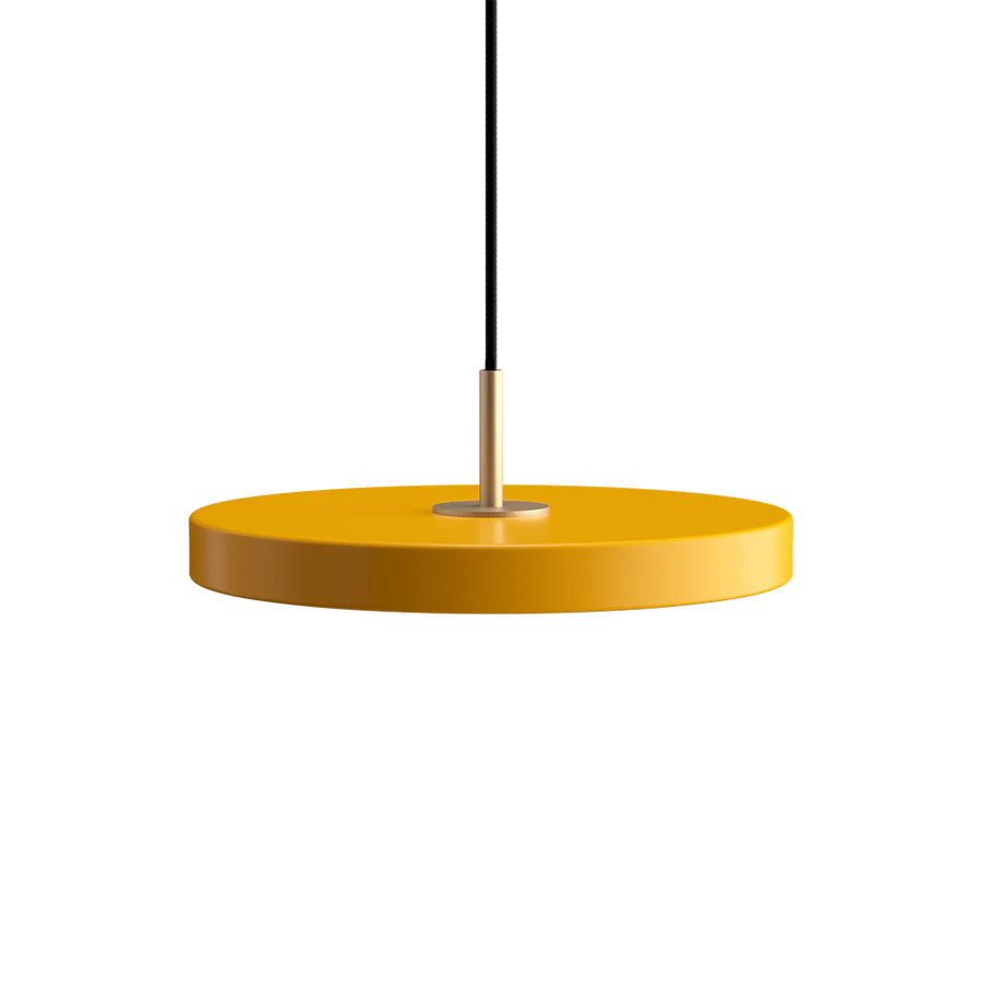 Asteria Pendant Light