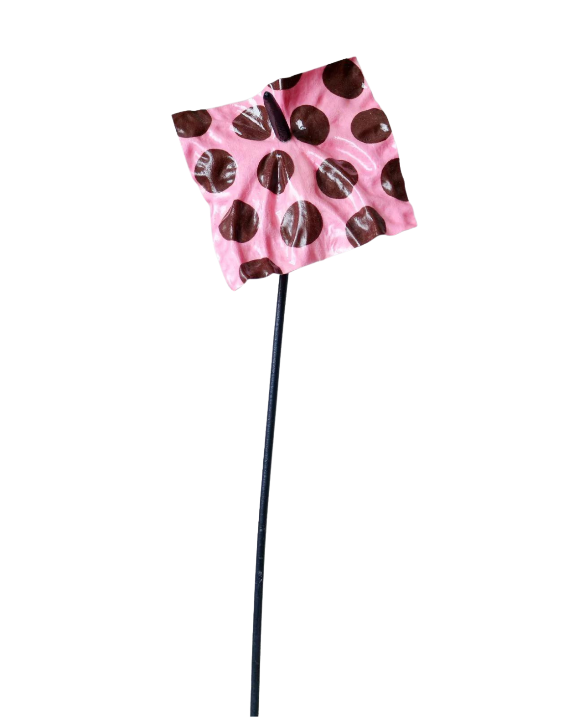 Dotrium Stems Teak New York dotrium-stems-teak-new-york