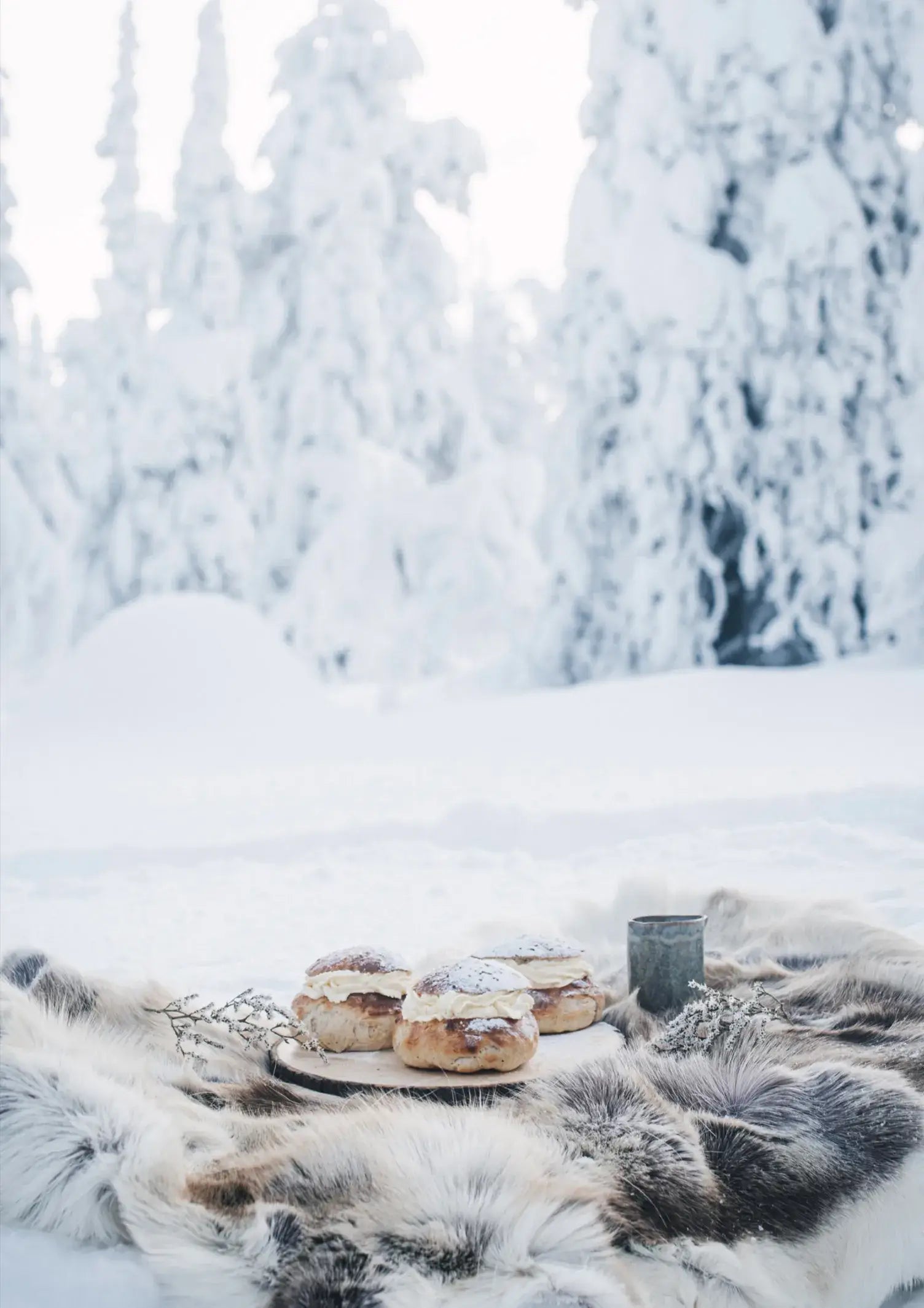 Nordic Winter Cookbook