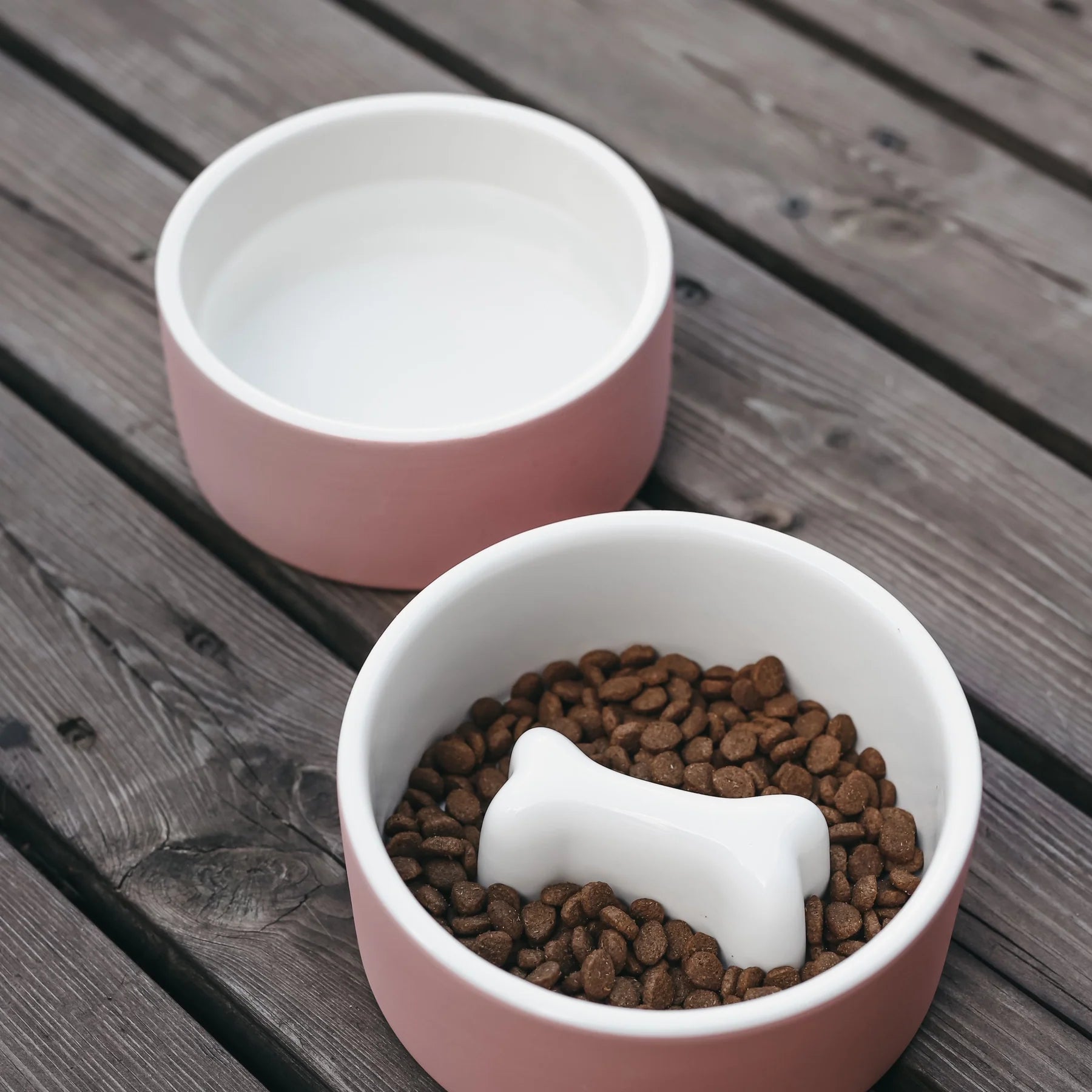 Cool Bowl for Pets