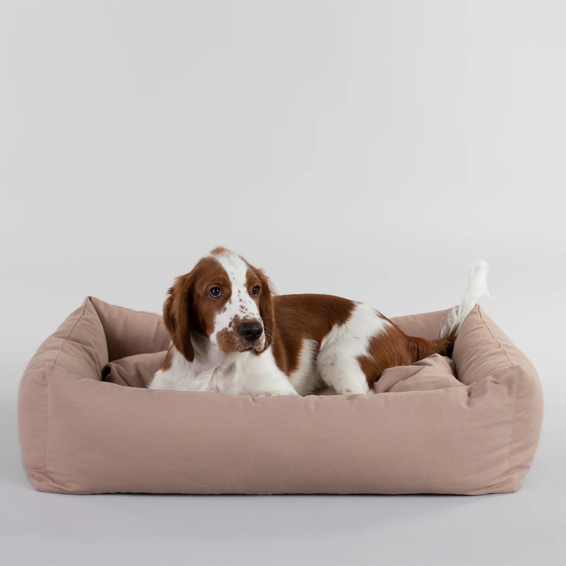 Conscious Bed for Pets