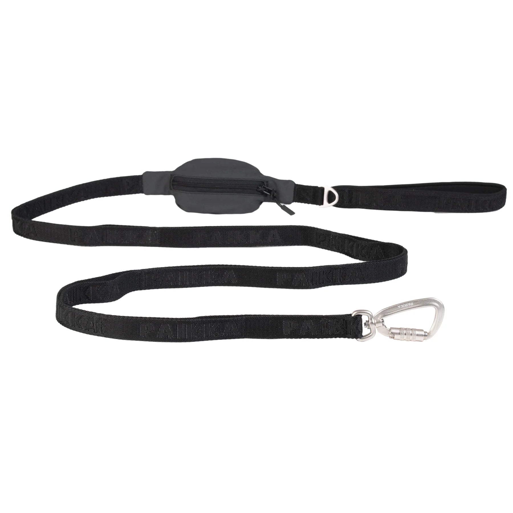 Visibility Leash for Dogs