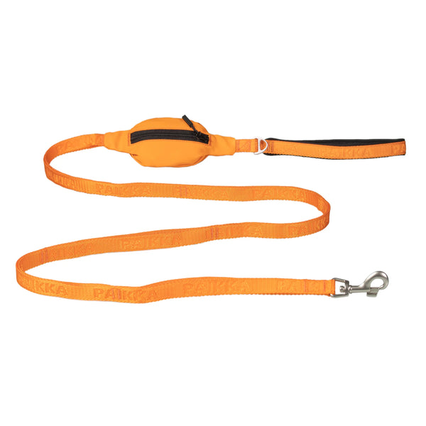 Smoochy poochy hands free leash discount