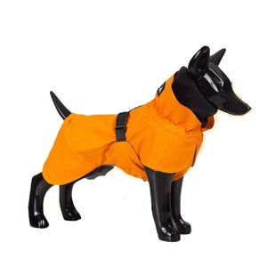 Recovery Rain Coat for Dogs