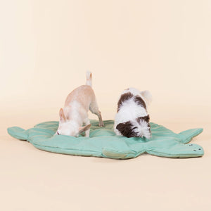 Playmat for Pets
