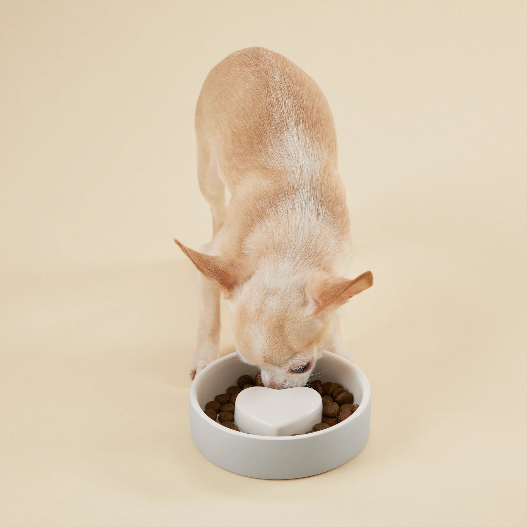Slow Feed Bowl for Pets