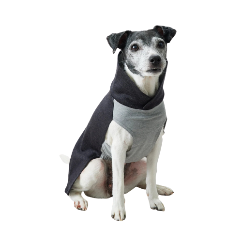 Recovery Winter Shirt for Dogs