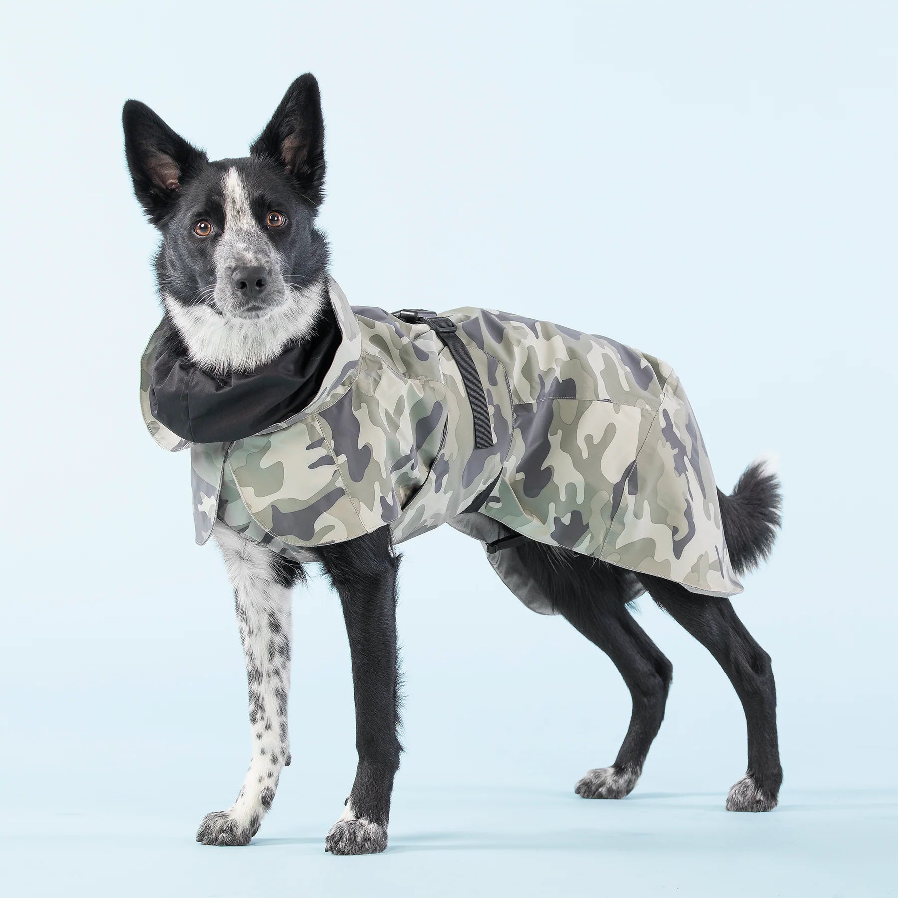 Recovery Rain Coat for Dogs