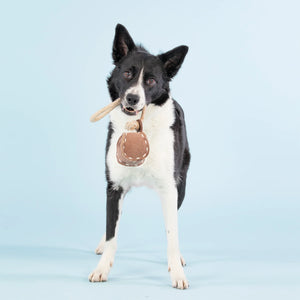 Ball Tug Toy for Dogs
