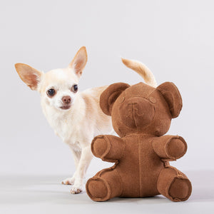 Teddy Toy for Dogs