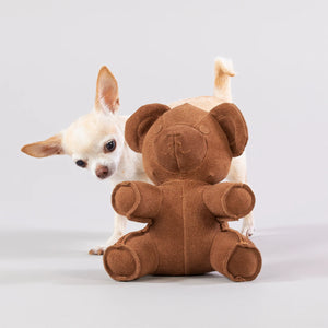 Teddy Toy for Dogs