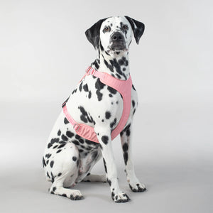 Visibility Harness for Dogs