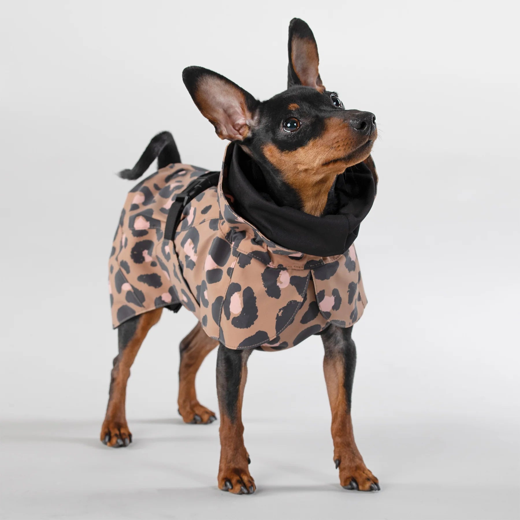 Visibility Raincoat Lite for Dogs